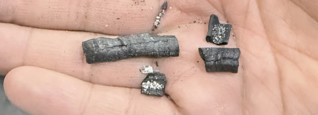 Decomposed chunks on the palm